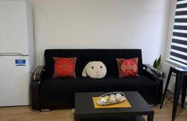 Modern 2-bedroom apartment - Foto 2