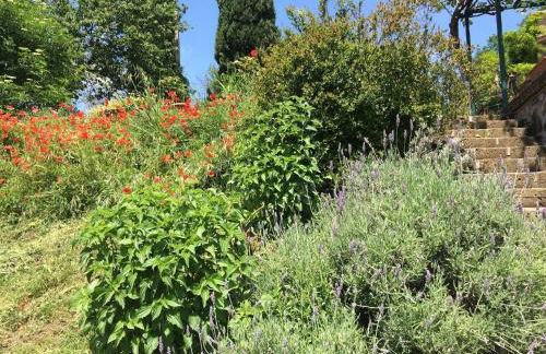 Podere Porcino - Foto 31