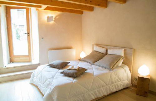 Domaine la vigne au villard jeune - Foto 13