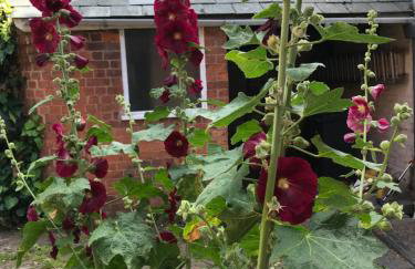 Clerks Cottage - Foto 19