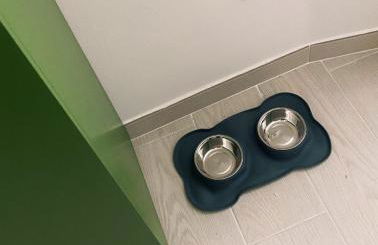 Amodiño do Camiño - Foto 48