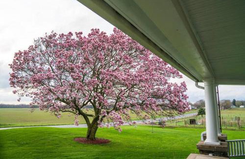 Wine Country Oasis Charming Farmhouse 10 Acres - Foto 44