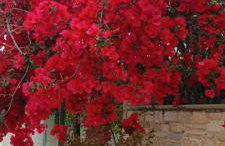 Near the Airport & near the Metro and Suburban station"PEANIA-KANTZA" - Foto 24