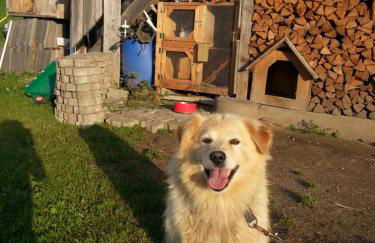 Hölzlhof - Photo 10