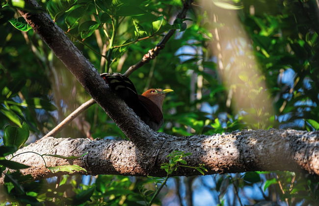 Kooteja Anton Valley ËRA - Foto 19