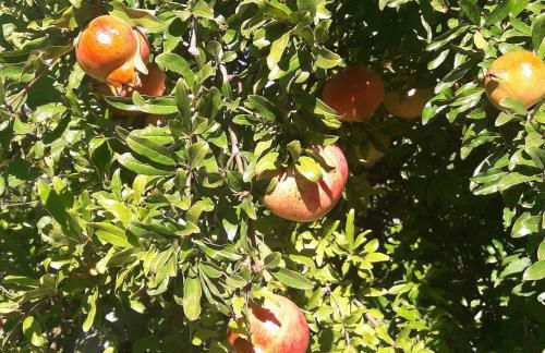 La casa di Eva - Foto 18