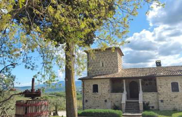 Agriturismo Torre Gialluise - Photo 13