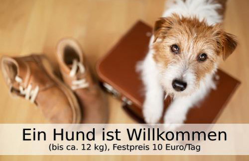 Villa Falco für Familien, bis 6 Personen, 3 Schlafzimmer mit Bad en Suite, Pool mit Loungebereich, Grillterrasse, schnellem Wlan, 2 Parkplätze, - Foto 14