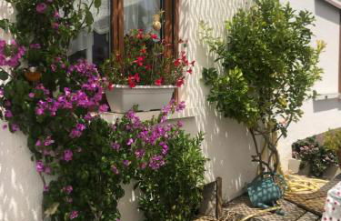 Cœur de sousto - Foto 1