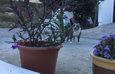 Casa Azul Mountain Retreat - Foto 72