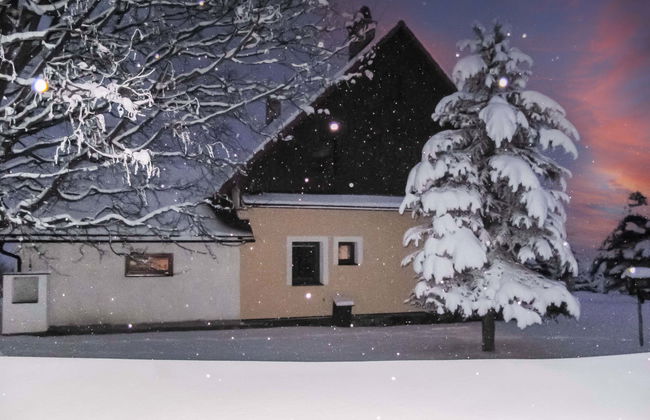 Rokytnice v Orlických horách - Foto 42