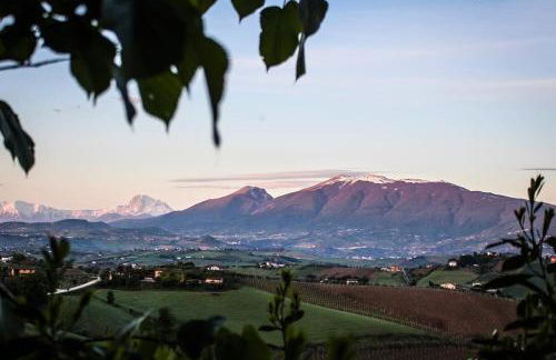 Residence Borgo Offida - Foto 23