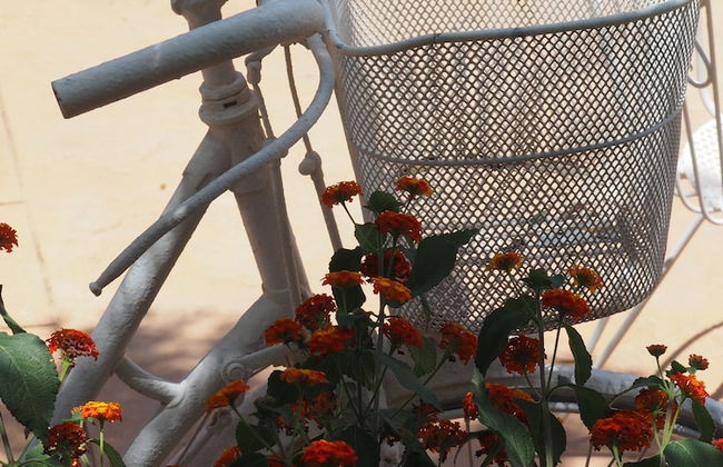 Son Mercadal - Foto 36