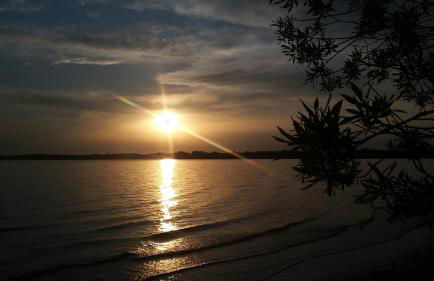 Ammergauer Vier Jahreszeiten - Foto 10