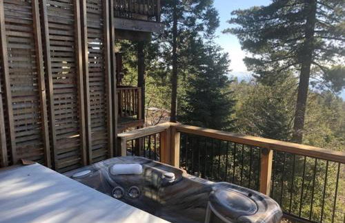 Contemporary Treetop Cabin with a Luxury Hot Tub in Idyllwild, California - Foto 19