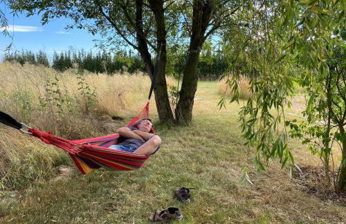 Ferienhaus WAFFENKAMMER für 7 Erw im Rittergut Leppersdorf bei Radeberg - Foto 22