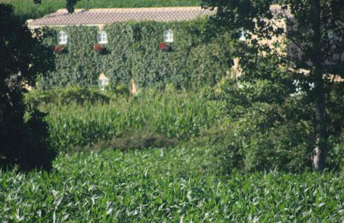 Casa do Moinho - Foto 17