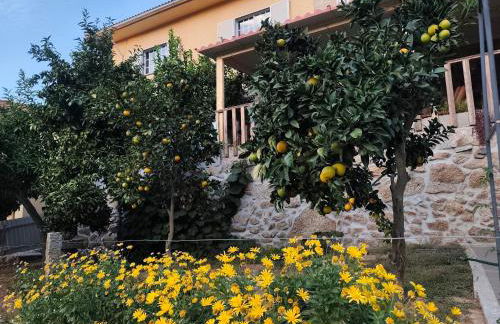 Quinta Cunha - Foto 9