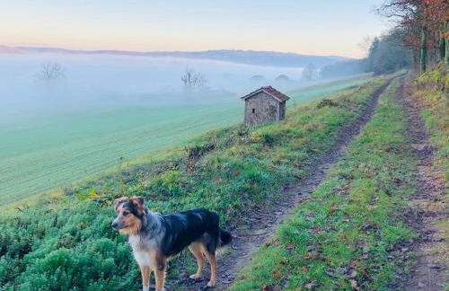 Montignac-Lascaux - Les Pierres De Lascaux - Foto 25