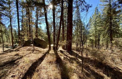 Mint Chip Cabin by Casago McCall - Donerightmanagement - Photo 20