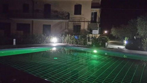 Le Vigne di Clementina Fabi - Foto 5