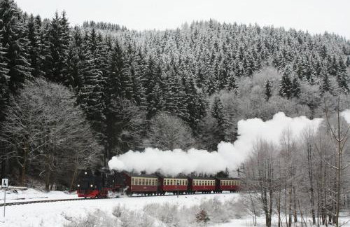 Ferienwohnung im Harz-Haus-Bruns - Foto 50