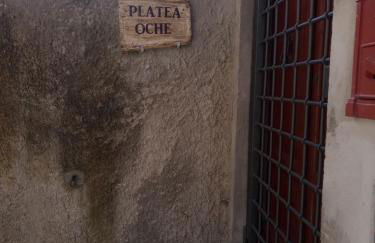 Platea Oche - Foto 62