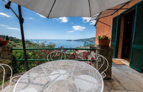 231C- Casa Sant'Ambrogio VISTA MARE, 2 Chilometri dal centro di Zoagli e dal Mare - Foto 36