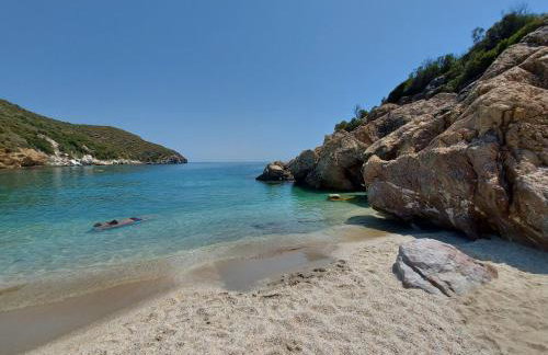 Seagulls - Within walking distance from sea! - Foto 57