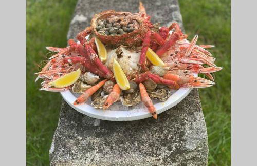 Appartement en entrée de ville avec balneo - Foto 18