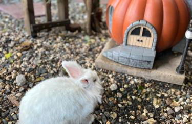 Cozy AF Tiny-House Oasis - Foto 17