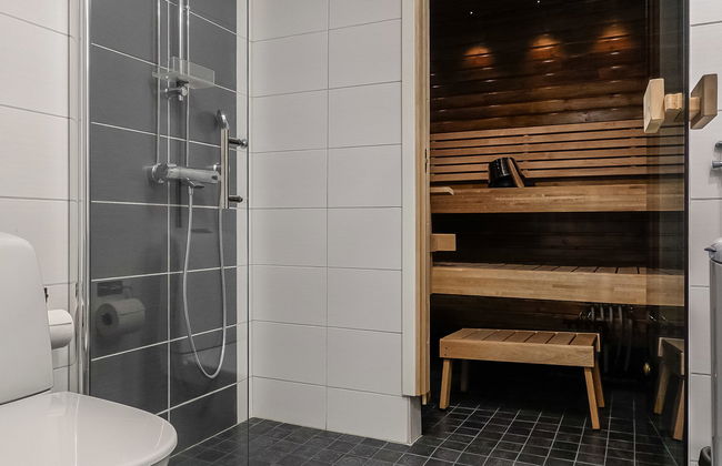 Levin revontulitaivas d - Foto 8