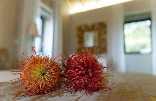 Eira dos Canastros - Foto 48