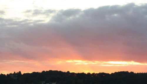 Ferienhaus Birdy - Foto 4