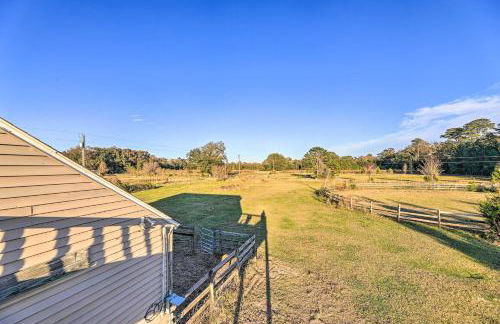 Havelock Country Cabin on Working Horse Farm! - Foto 17