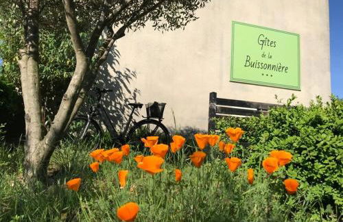 Grand Gîte La Buissonnière - Foto 39