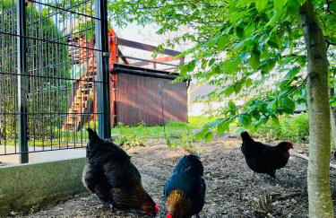 Ferienwohnung Spreewaeldchen - Foto 37