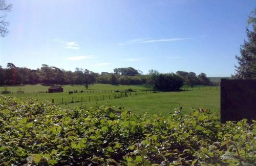 Warmwell Lodge - Photo 24