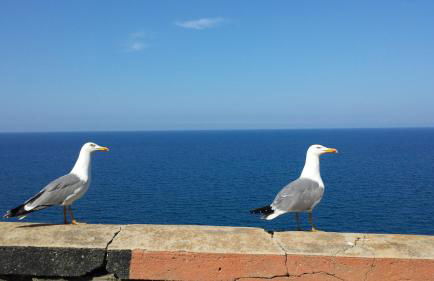 Sicily Sea House - Foto 15
