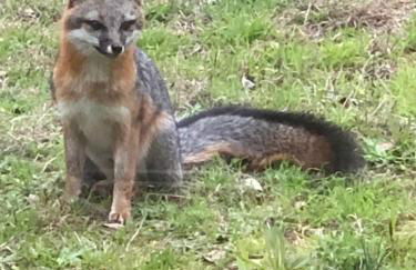 Fishers Of Men Ranch Home - Photo 78