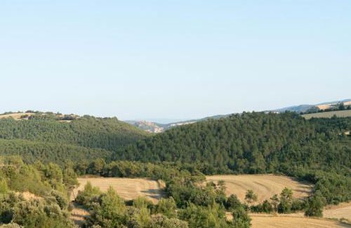 Casa rural Sant Grau turismo saludable y responsable - Foto 17