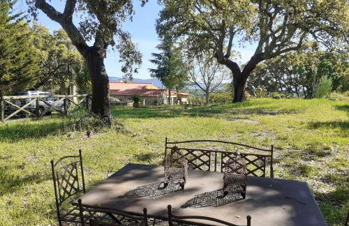 Casa da Vinha - Foto 11