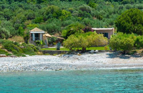 Malsova Studio - Foto 34