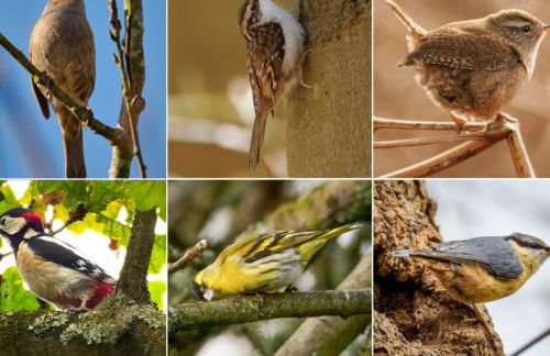 2 Bed in Chepstow 95046 - Foto 36