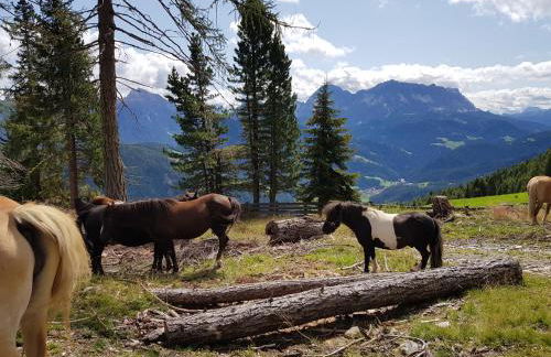 Lüch da Börz - Foto 14