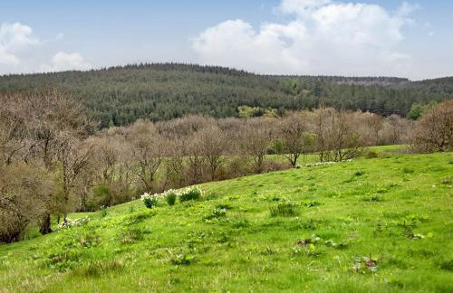 The Birches - Foto 22