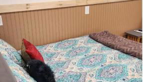 Cochin cottage - Foto 2