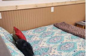 Cochin cottage - Foto 2