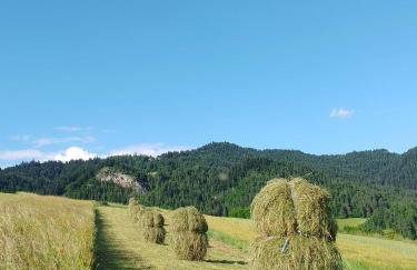 Agroturystyka Pod Zamczyskiem - Photo 22