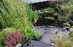 Ferienwohnung S+F Bokermann - Foto 1